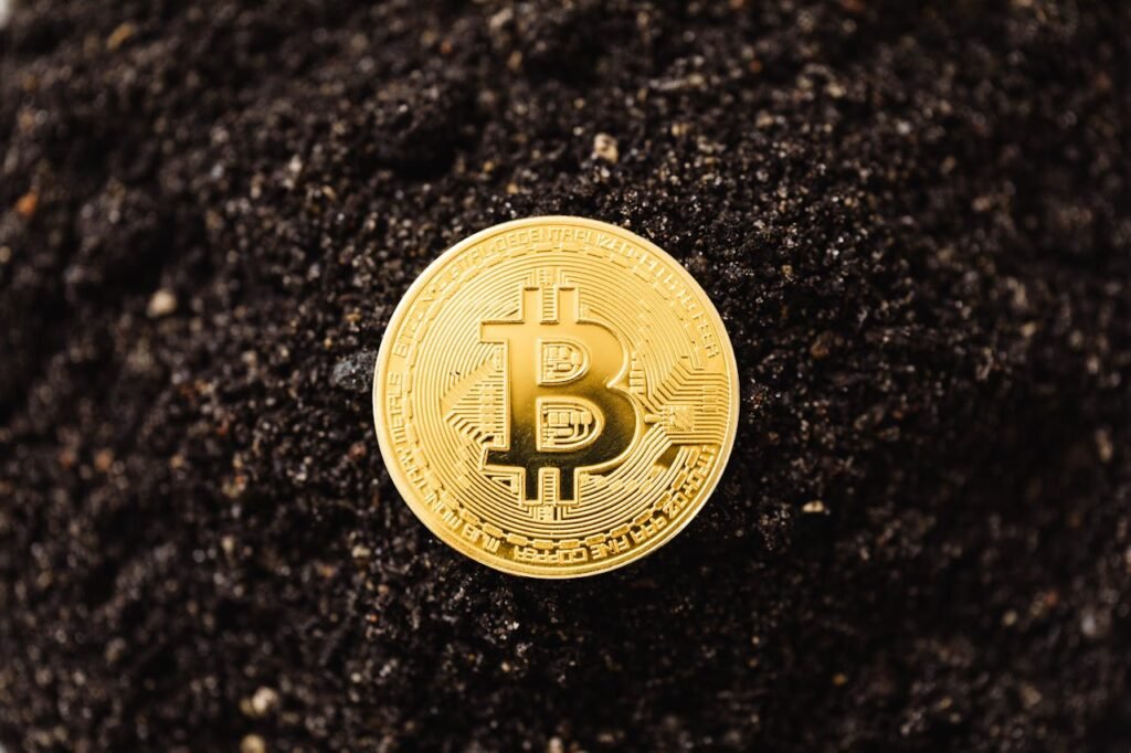 Close-up of a golden Bitcoin coin resting on dark soil, symbolizing cryptocurrency growth.